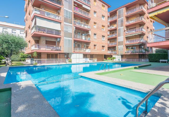 Apartamento en Pineda de Mar - HomeHolidaysRentals Amaral - Costa Barcelona