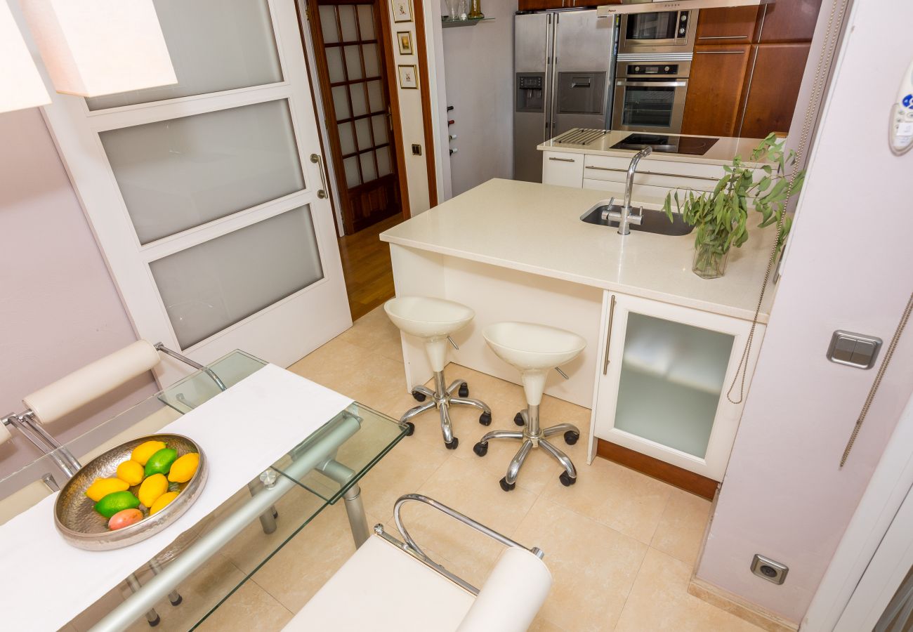 Apartamento en Pineda de Mar - HomeHolidaysRentals Amaral - Costa Barcelona