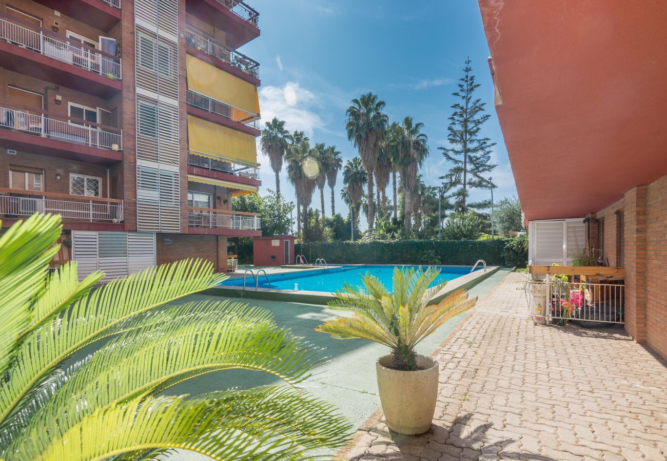 Apartamento en Pineda de Mar - HomeHolidaysRentals Amaral - Costa Barcelona