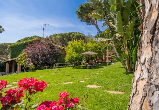 Villa en Cabrils - HomeHolidaysRentals Acuarela - Costa Barcelona