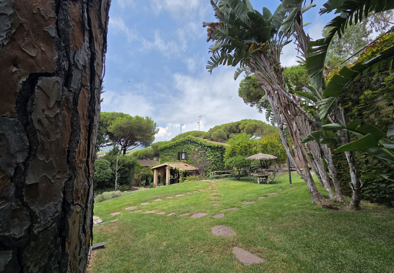 Villa en Cabrils - HomeHolidaysRentals Acuarela - Costa Barcelona