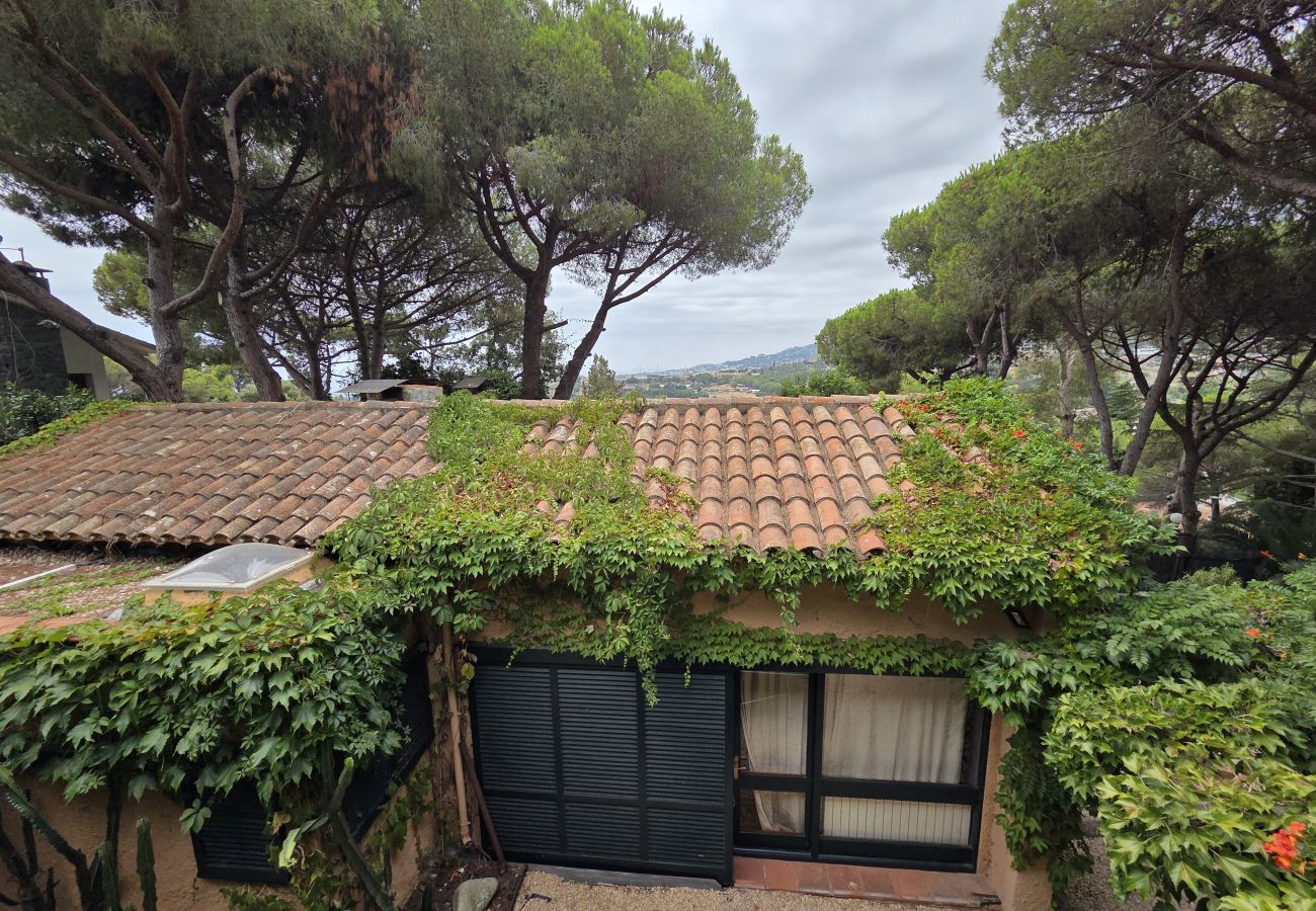 Villa en Cabrils - HomeHolidaysRentals Acuarela - Costa Barcelona
