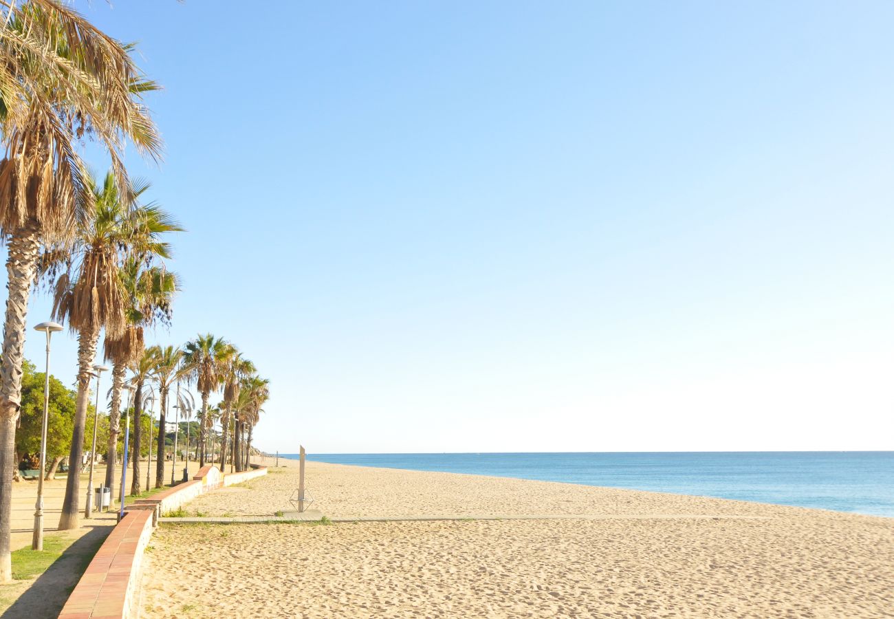 Apartamento en Canet de Mar - HomeHolidaysRentals Canet Playa l-Costa Barcelo