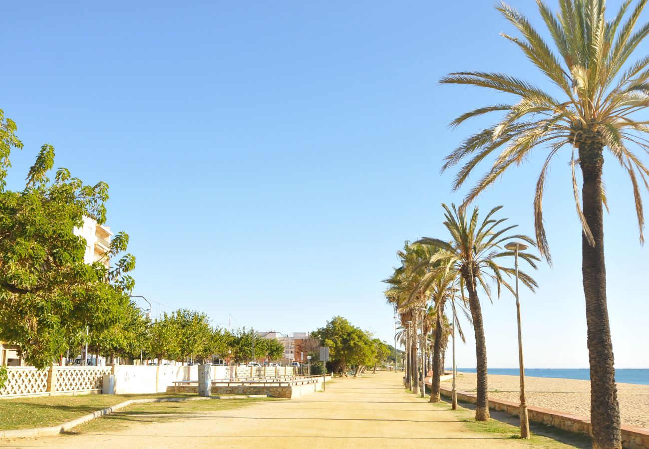 Apartamento en Canet de Mar - HomeHolidaysRentals Canet Playa l-Costa Barcelo