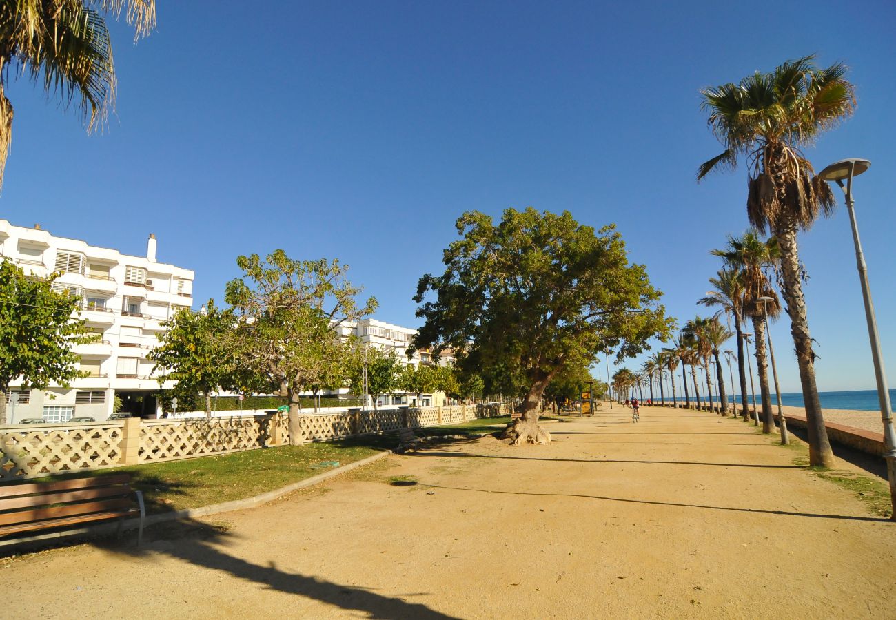 Apartamento en Canet de Mar - HomeHolidaysRentals Canet Playa l-Costa Barcelo