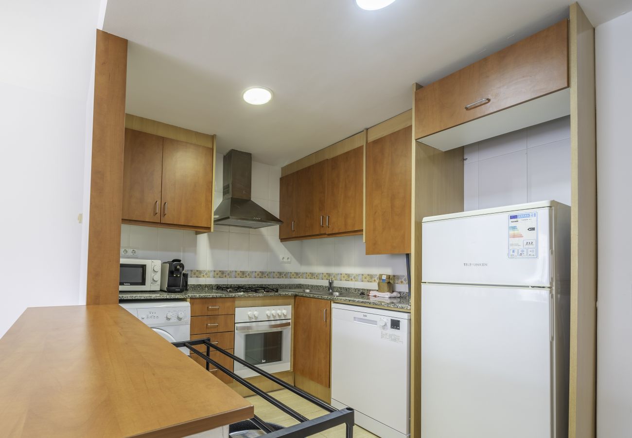 Apartamento en Pineda de Mar - HomeHolidaysRentals Atico Ocean - Costa Barcelo
