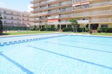 Apartamento en Malgrat de Mar - HomeHolidaysRentals Lorraine- Costa...