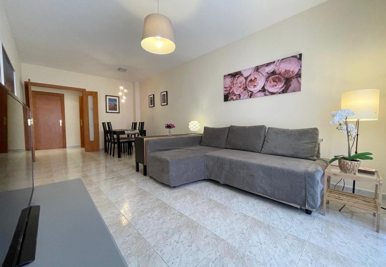 Apartamento en Pineda de Mar - HomeHolidaysRentals Salvador - Costa Barcelona