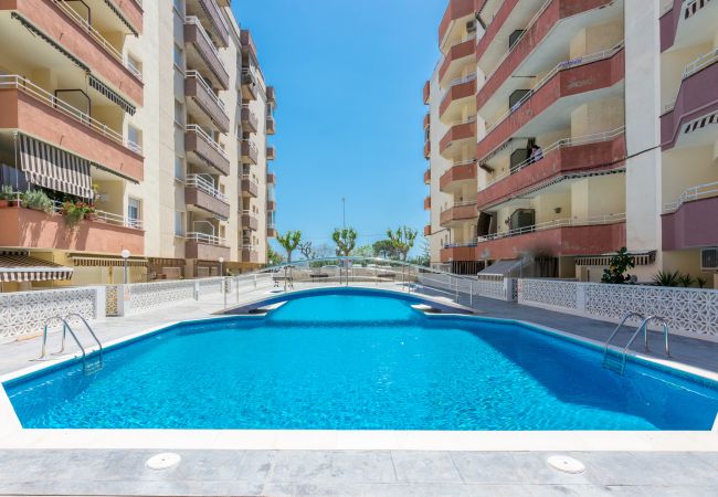 Apartamento en Pineda de Mar - HomeHolidaysRentals Palmier - Costa Barcelona