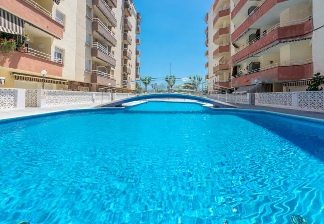 Apartamento en Pineda de Mar - HomeHolidaysRentals Palmier - Costa Barcelona