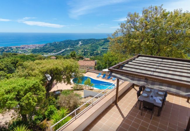 Villa en Pineda de Mar - HomeHolidaysRentals Malvina - Costa Barcelona