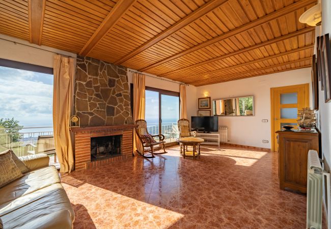 Villa en Pineda de Mar - HomeHolidaysRentals Malvina - Costa Barcelona