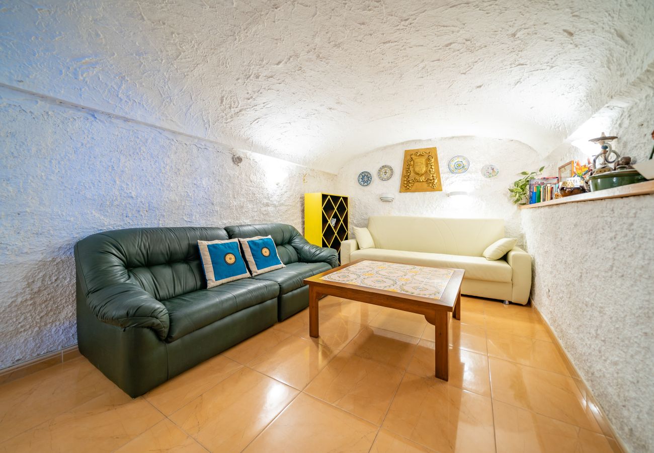 Villa en Pineda de Mar - HomeHolidaysRentals Malvina - Costa Barcelona