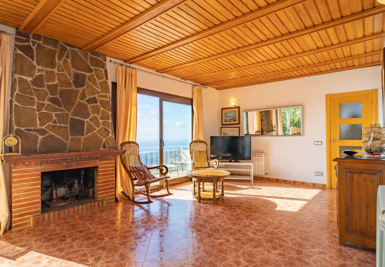 Villa en Pineda de Mar - HomeHolidaysRentals Malvina - Costa Barcelona