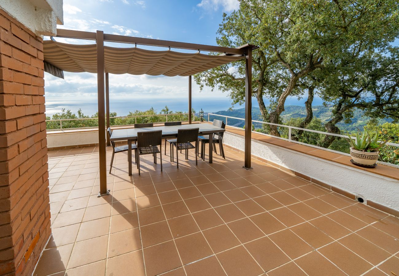 Villa en Pineda de Mar - HomeHolidaysRentals Malvina - Costa Barcelona