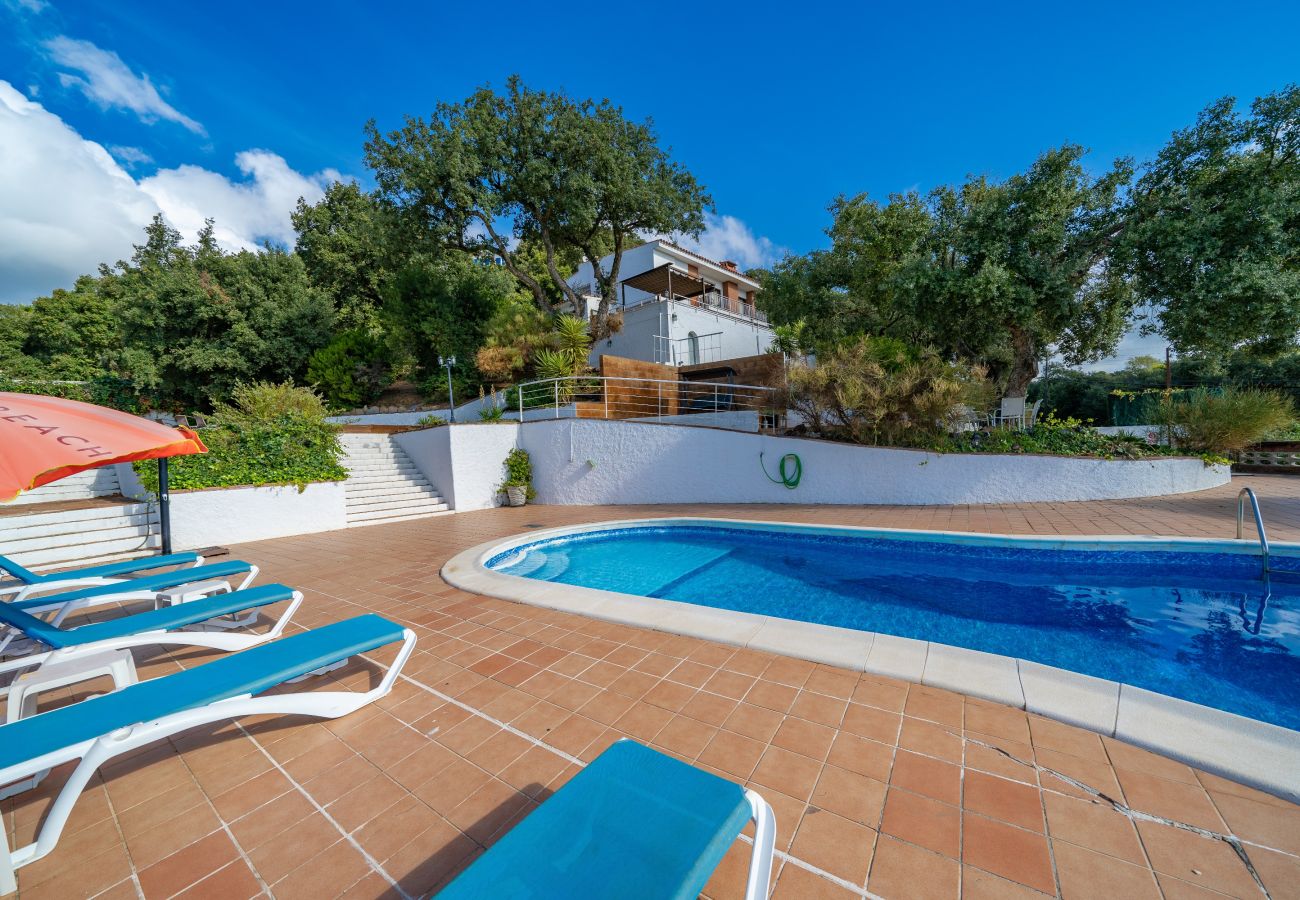 Villa en Pineda de Mar - HomeHolidaysRentals Malvina - Costa Barcelona
