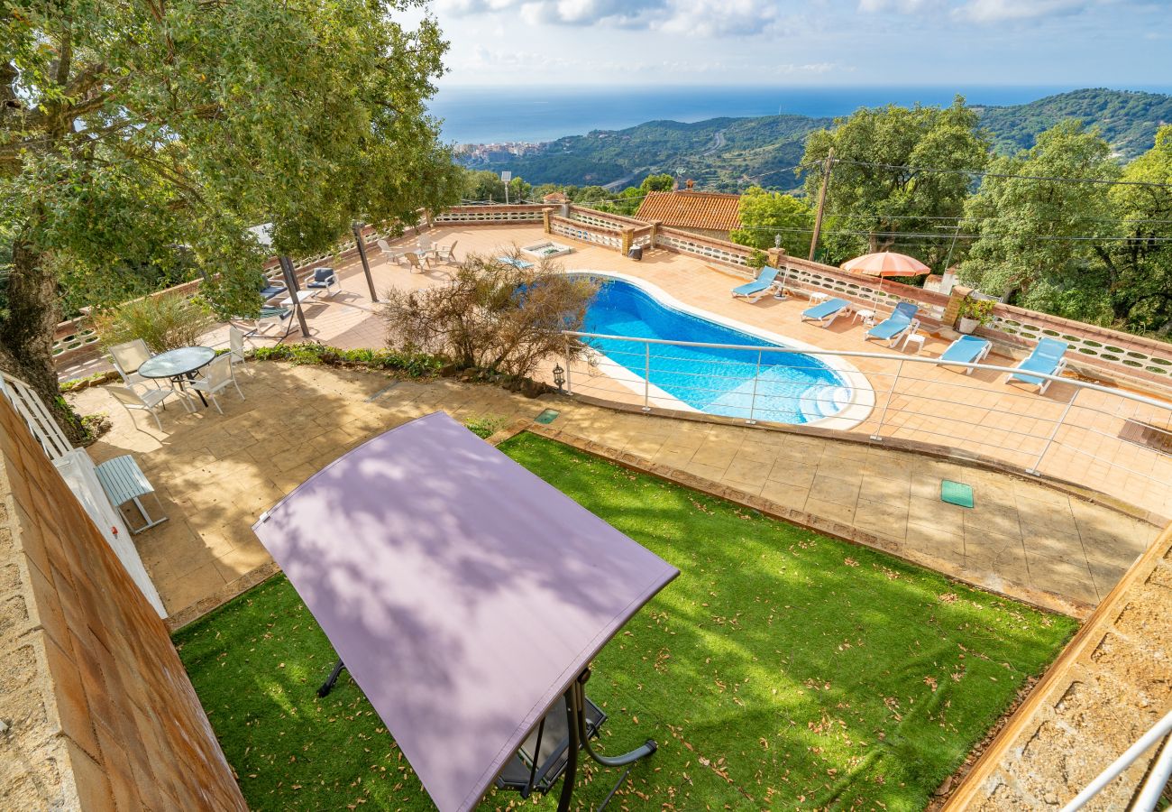 Villa en Pineda de Mar - HomeHolidaysRentals Malvina - Costa Barcelona