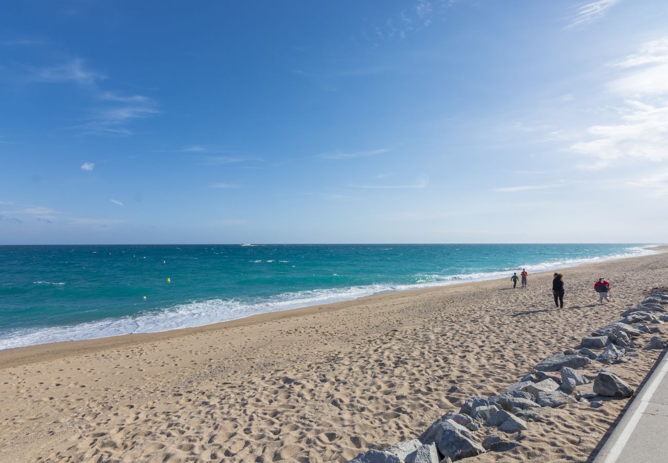 Villa en Pineda de Mar - HomeHolidaysRentals Malvina - Costa Barcelona
