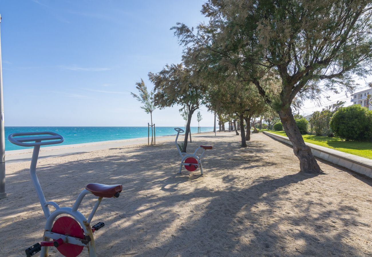 Villa en Pineda de Mar - HomeHolidaysRentals Malvina - Costa Barcelona