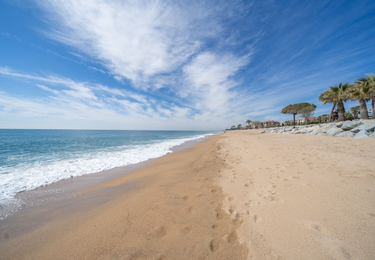 Villa en Pineda de Mar - HomeHolidaysRentals Malvina - Costa Barcelona