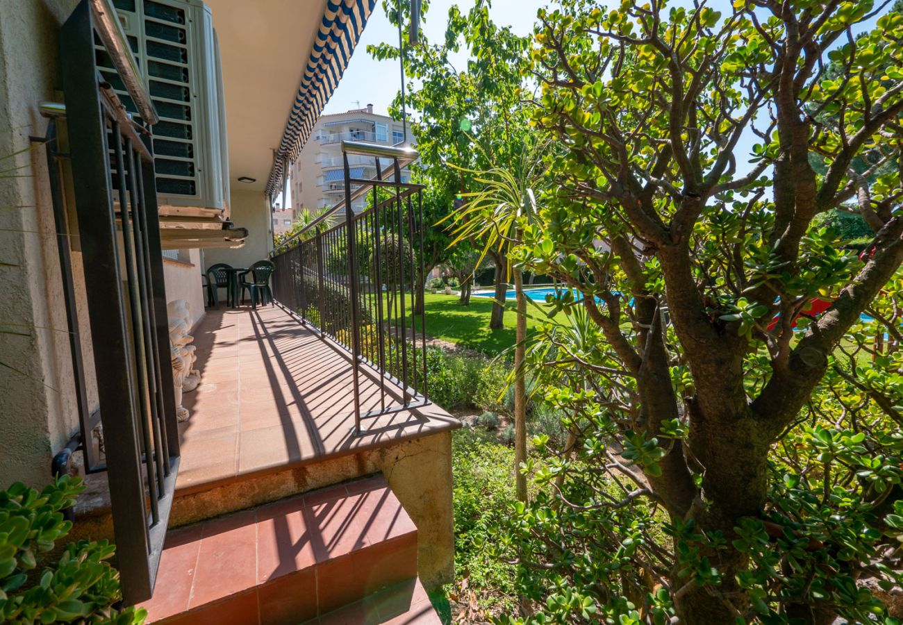 Apartamento en Calella - HomeHolidaysRentals Space - Costa Barcelona