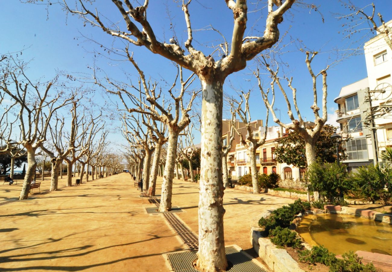 Apartamento en Calella - HomeHolidaysRentals Space - Costa Barcelona