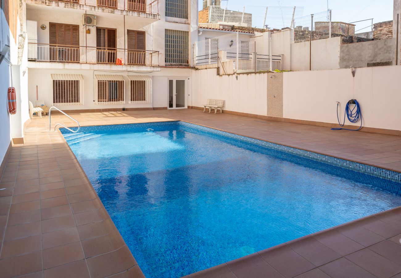 Apartamento en Pineda de Mar - HomeHolidaysRentals Plume - Costa Barcelona