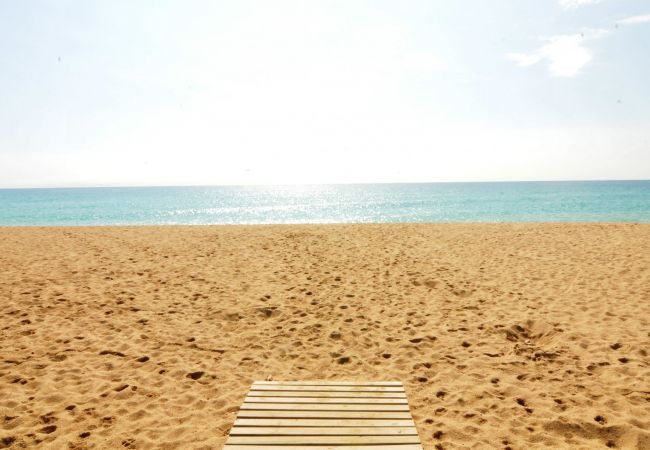 Apartamento en Malgrat de Mar - HomeHolidaysRentals Malgrat Mar II - Costa Barc