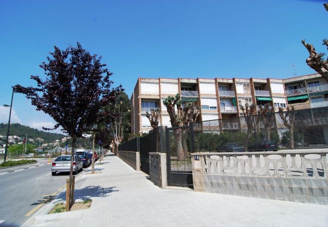 Apartamento en Malgrat de Mar - HomeHolidaysRentals Tropicana - Costa Barcelona