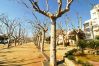 Apartamento en Calella - HomeHolidaysRentals Raval - Costa Barcelona