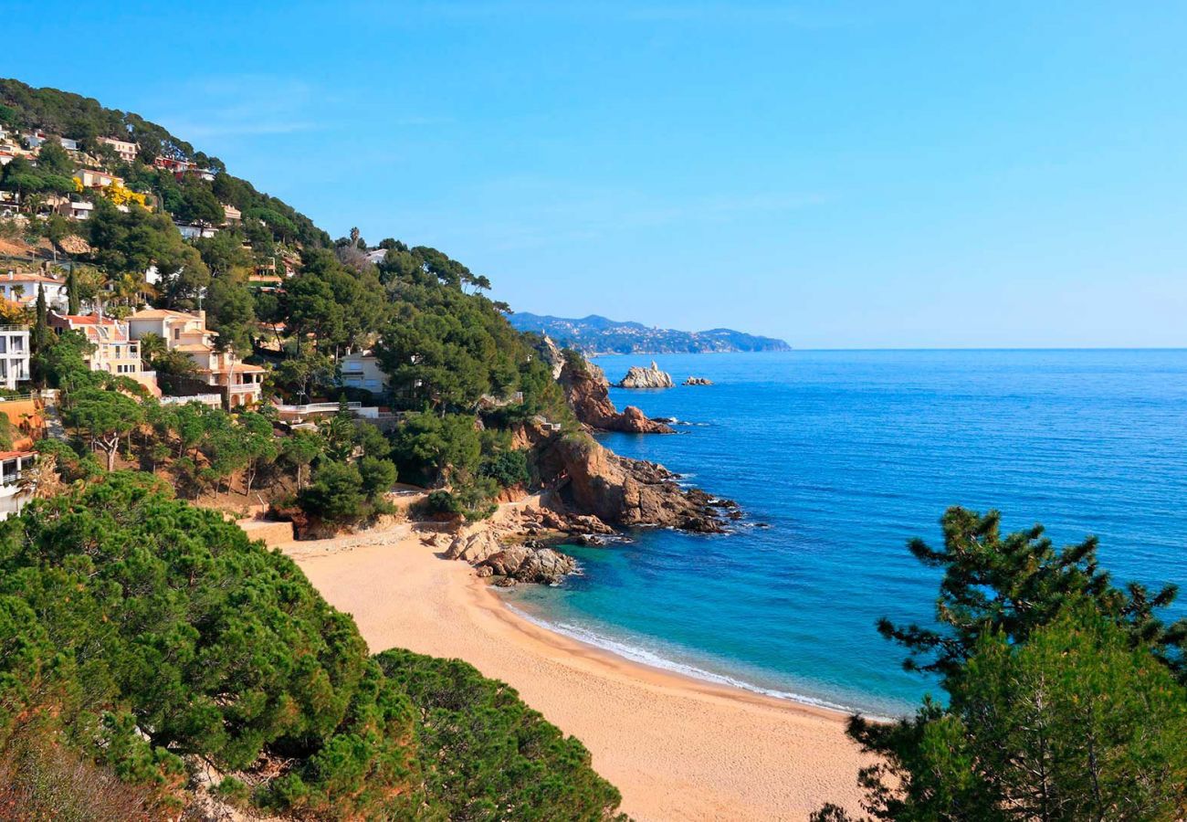 Apartamento en Blanes - HomeHolidaysRentals Blanescel - Costa Brava