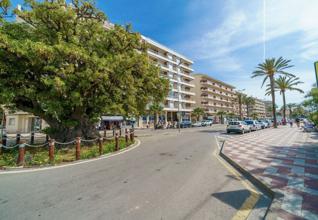 Apartamento en Pineda de Mar - HomeHolidaysRentals Delmare - Costa Barcelona