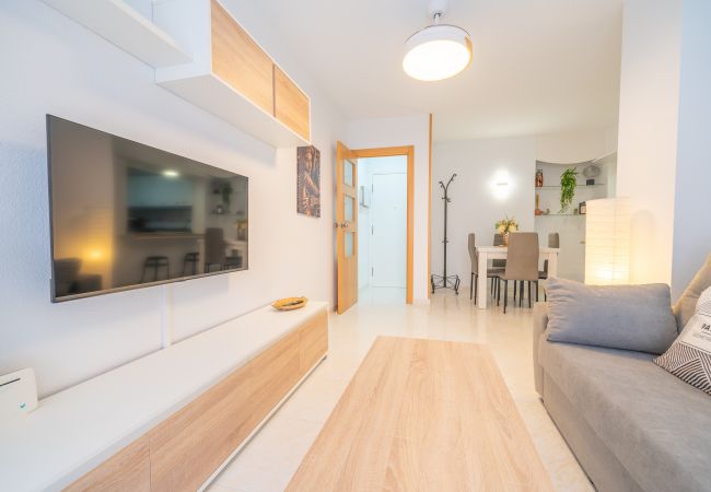 Apartamento en Pineda de Mar - HomeHolidaysRentals Caliz - Costa Barcelona