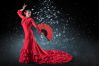  Show de flamenco