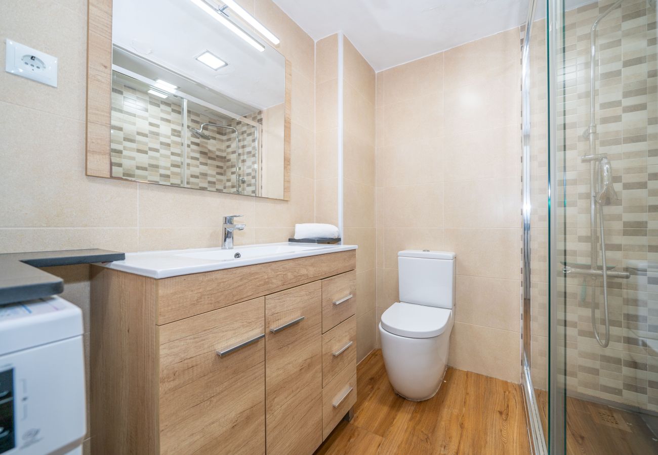 Apartamento en Pineda de Mar - HomeHolidaysRentals Deva - Costa Barcelona