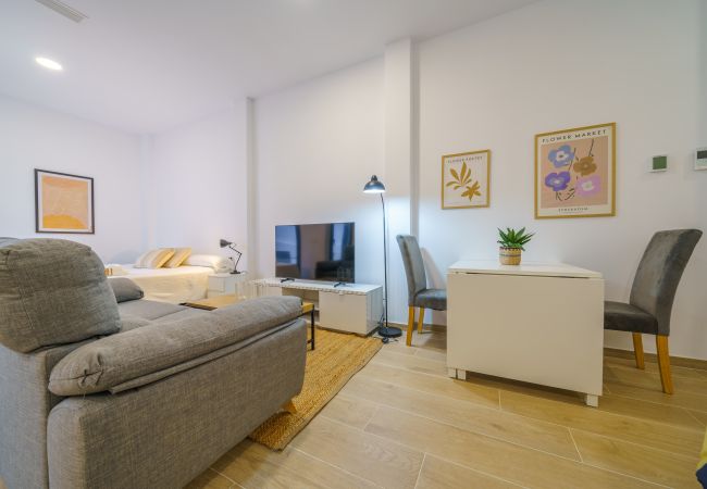 Estudio en Pineda de Mar - HomeHolidaysRentals Mana - Costa Barcelona