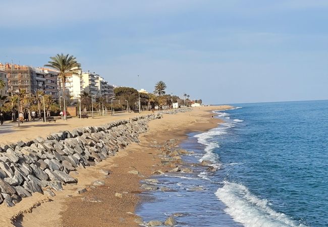 Apartamento en Pineda de Mar - HomeHolidaysRentals Sampai - Costa Barcelona