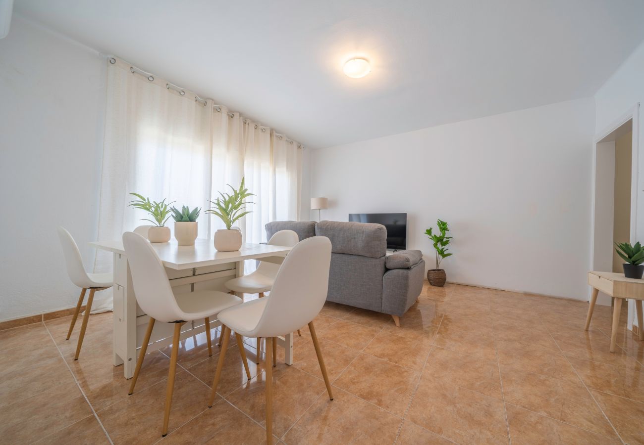 Apartamento en Pineda de Mar - HomeHolidaysRentals Sampai - Costa Barcelona
