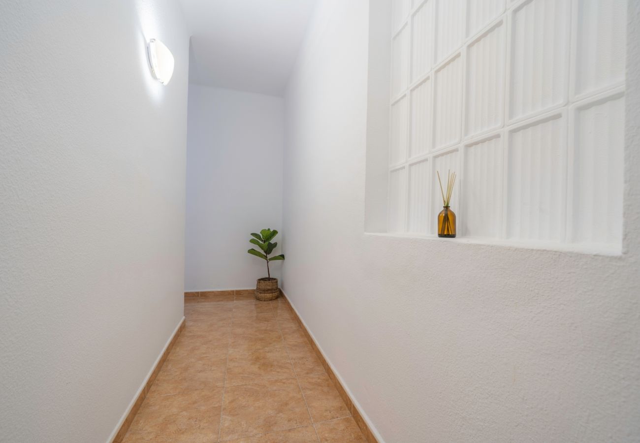 Apartamento en Pineda de Mar - HomeHolidaysRentals Sampai - Costa Barcelona