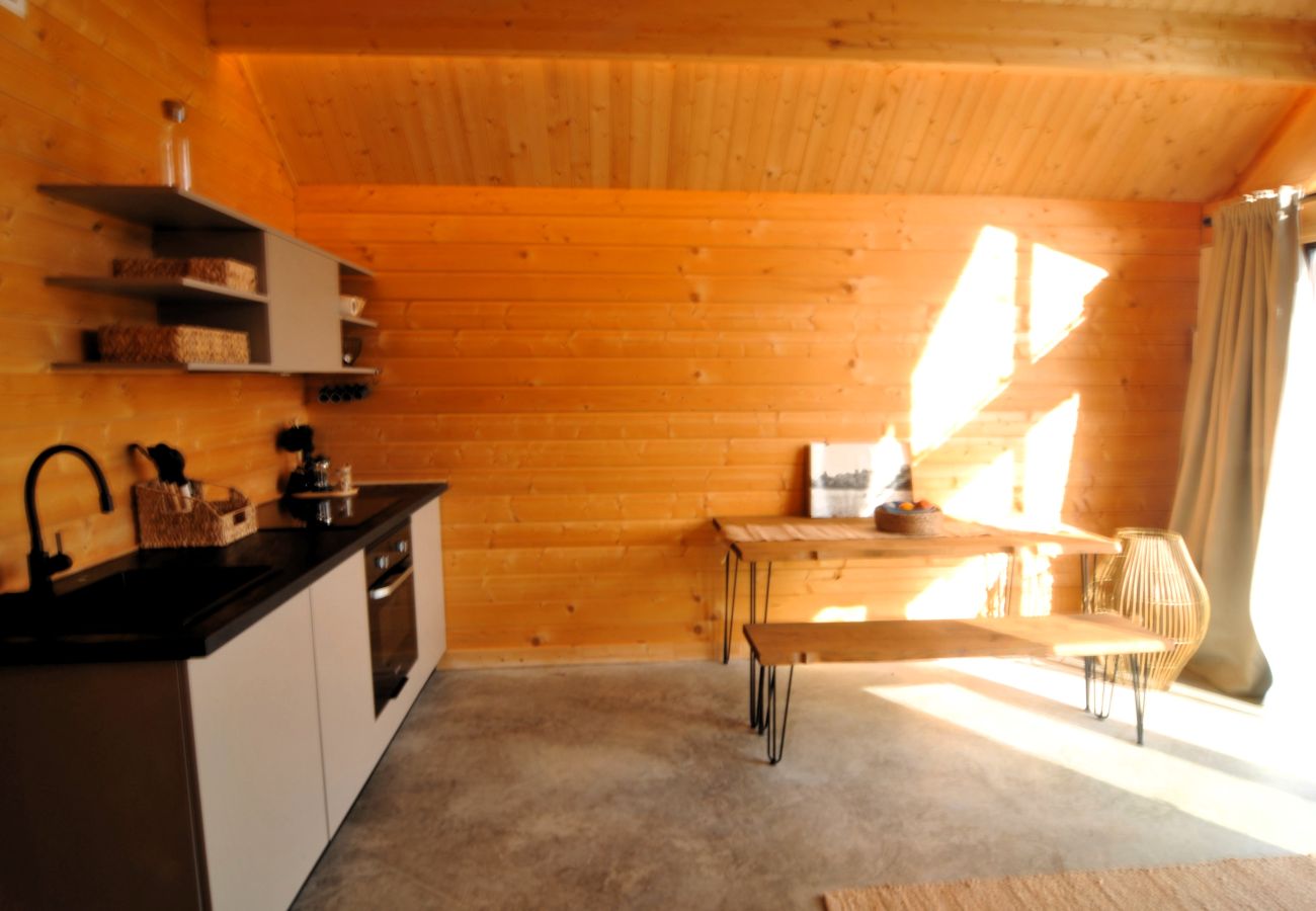 Casa adosada en Sant Cebrià de Vallalta - HomeHolidaysRentals Nature - Costa Barcelona