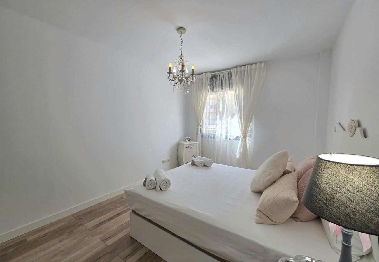 Apartamento en Pineda de Mar - HomeHolidaysRentals Eloise Costa Barcelona.