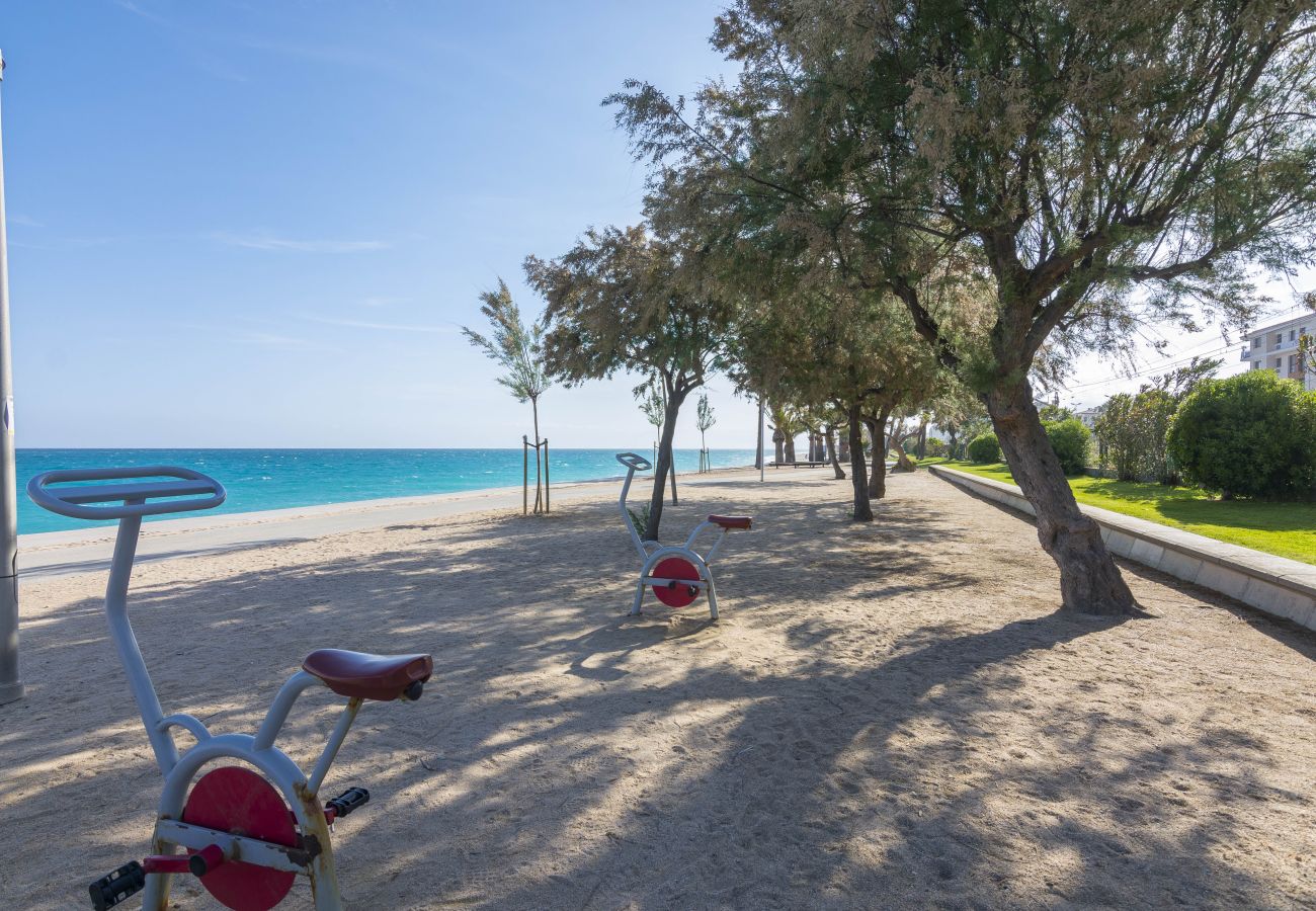 Apartamento en Pineda de Mar - HomeHolidaysRentals Eloise Costa Barcelona.