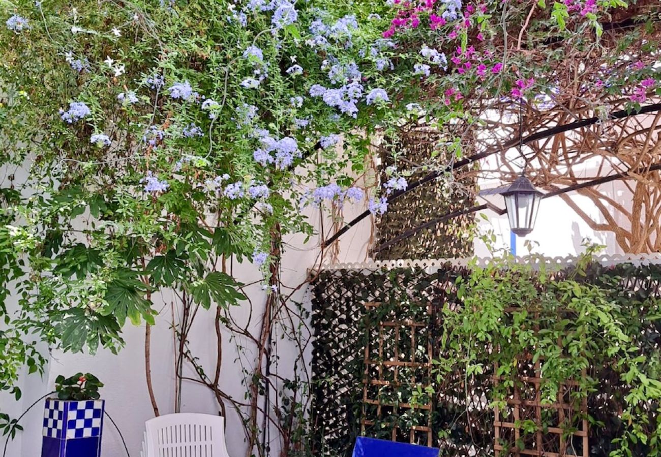 Casa adossada en Sant Pol de Mar - HHRentals Villa Mediterranea