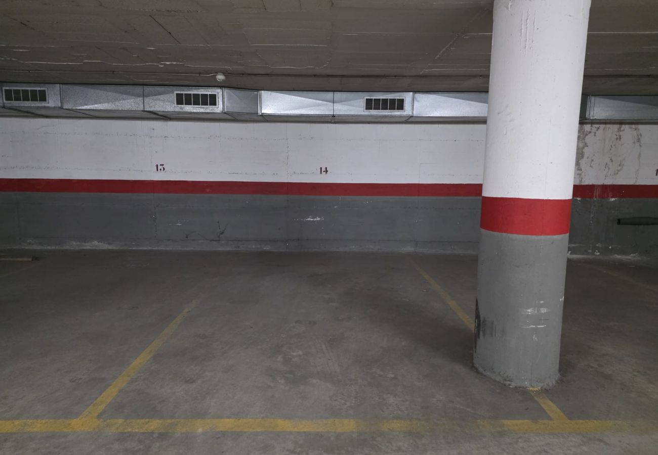 Apartament en Pineda de Mar - HomeHolidaysRentals Sol - Costa Barcelona