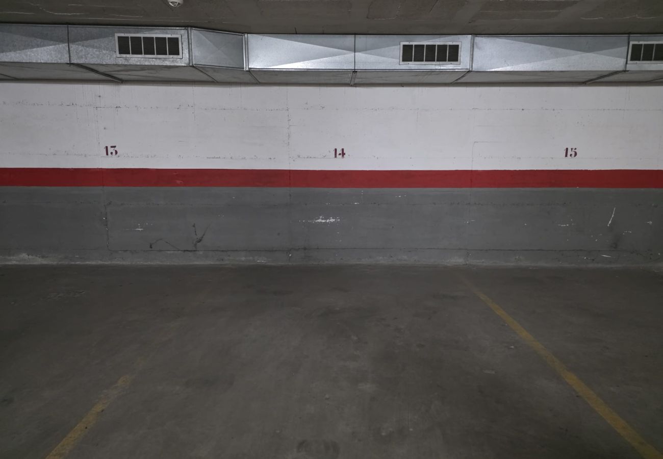 Apartament en Pineda de Mar - HomeHolidaysRentals Sol - Costa Barcelona