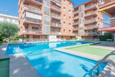 Apartament en Pineda de Mar - HomeHolidaysRentals Amaral - Costa...