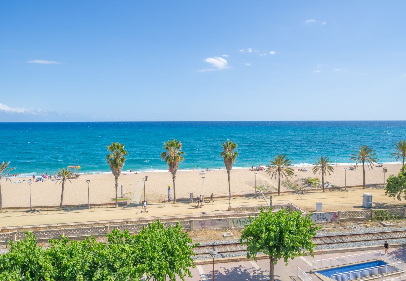 Apartament en Canet de Mar - HomeHolidaysRentals Palm Beach - Costa Barcelon