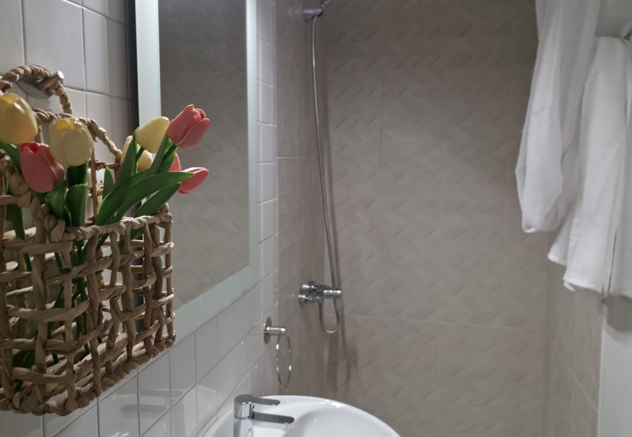 Apartament en Malgrat de Mar - HomeHolidaysRentals Miracel - Costa Barcelona