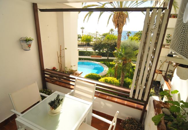 Apartament en Canet de Mar - HomeHolidaysRentals Canet Playa l-Costa Barcelo