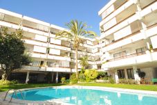 Apartament en Canet de Mar - HomeHolidaysRentals Canet Playa l-Costa...